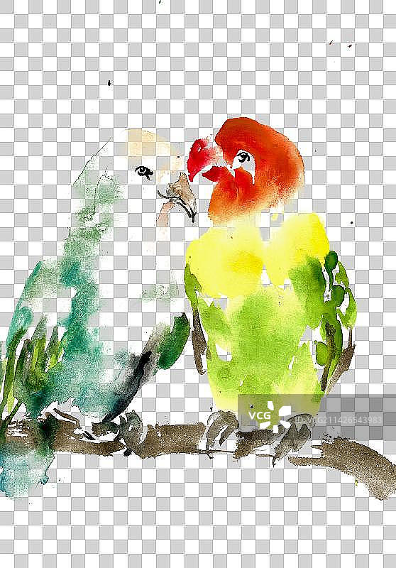 亲昵的小鸟图片素材