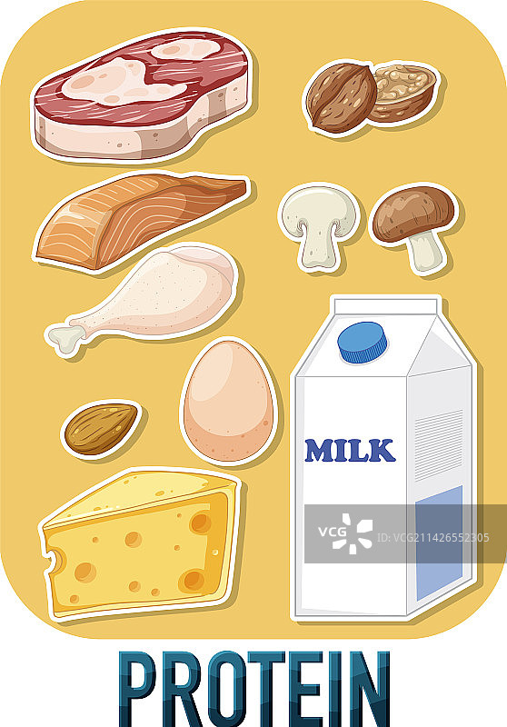 含文字的各种蛋白质食物图片素材