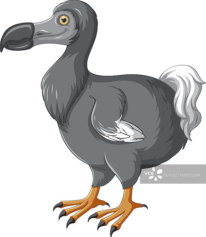 渡渡鸟灭绝动物图片素材
