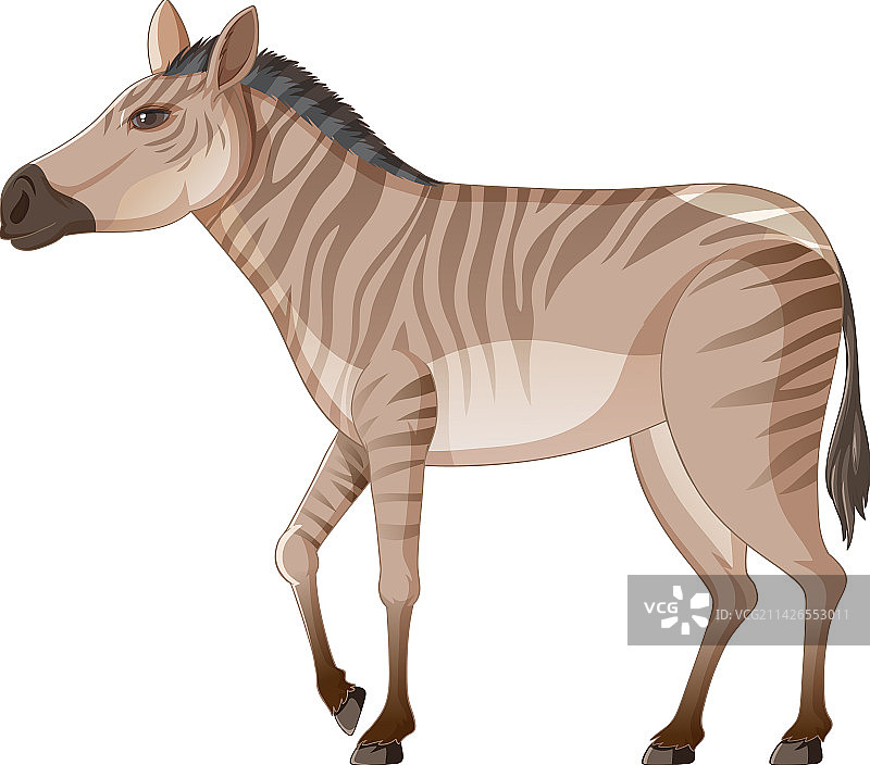 已灭绝的海格曼马图片素材