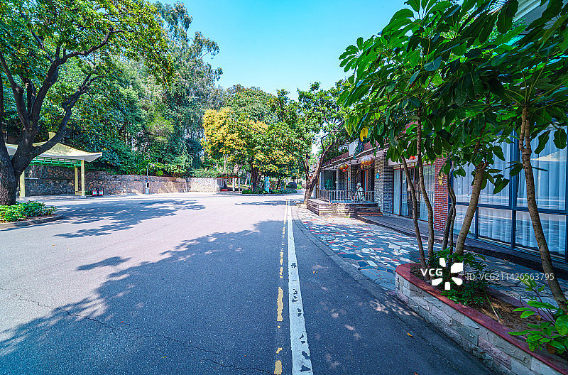 广州天河公园绿色树林与公路图片素材