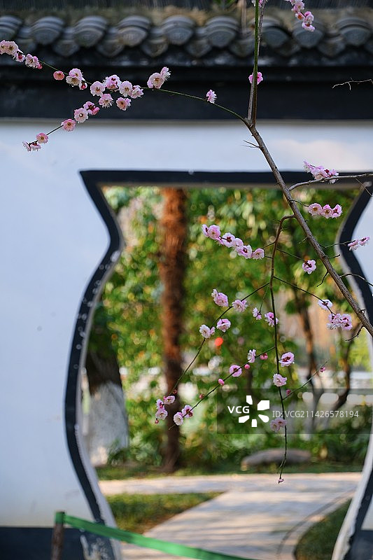 春满清风阁图片素材