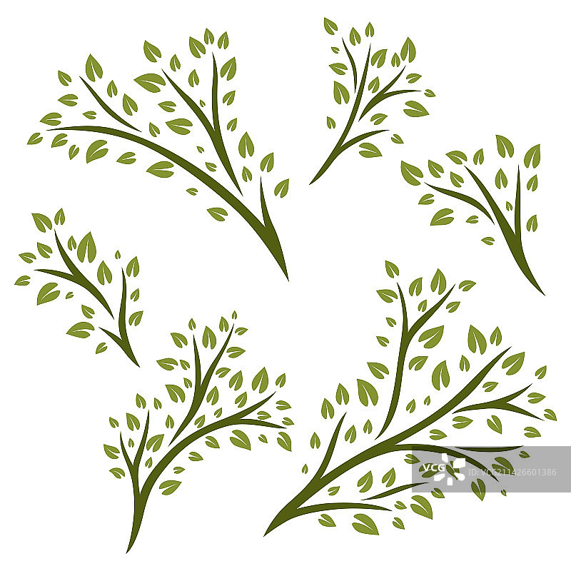 带绿叶的装饰植物小树枝套装图片素材