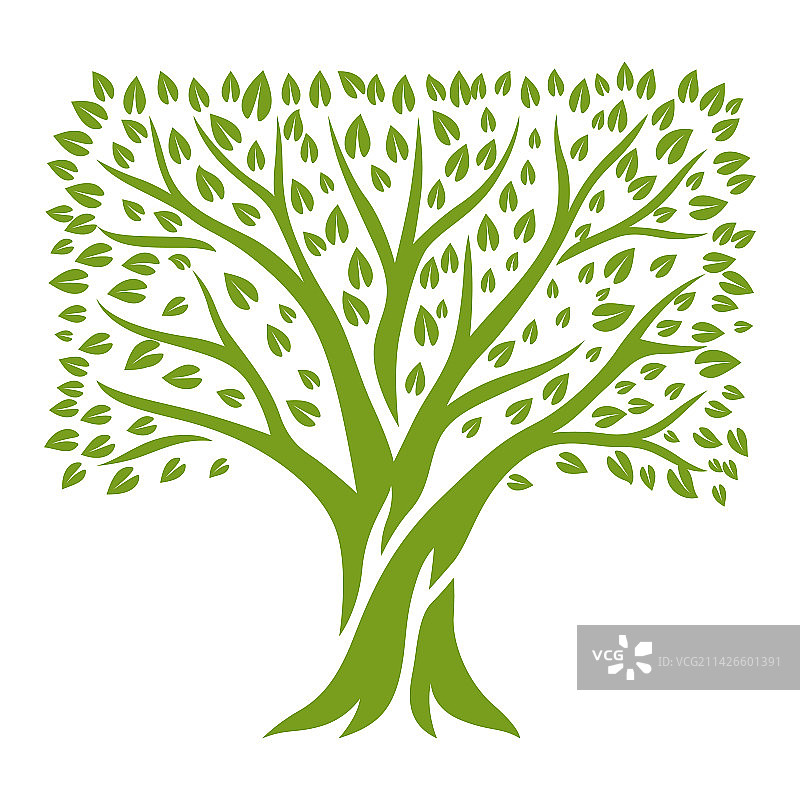 春夏绿叶树木自然风光图片素材