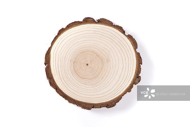 白色背景上的一段木桩图片素材