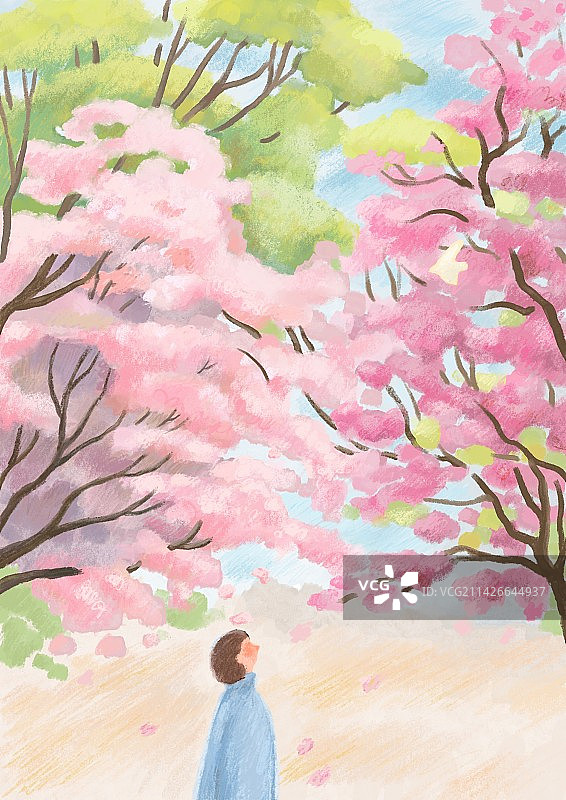 春天的颜色图片素材