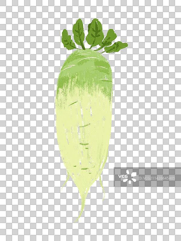 绿色的白萝卜手绘肌理元素插画图片素材