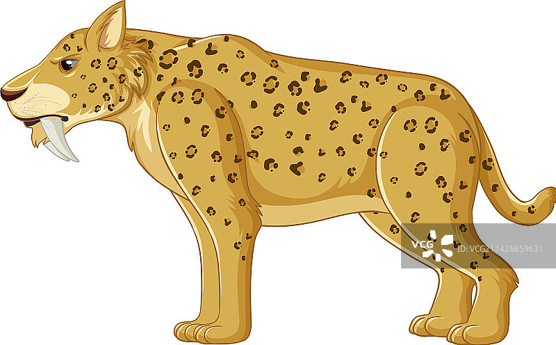 剑齿猫图片素材