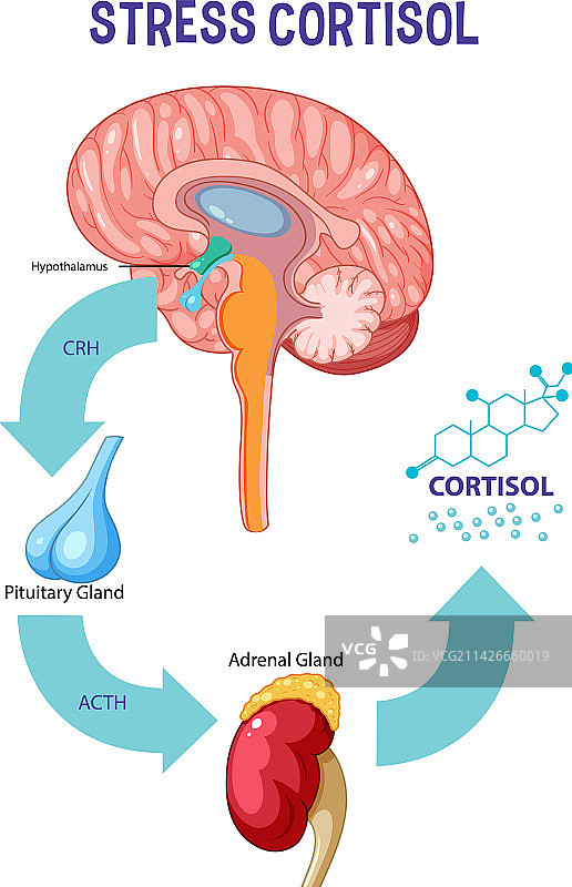 压力反应系统示意图图片素材