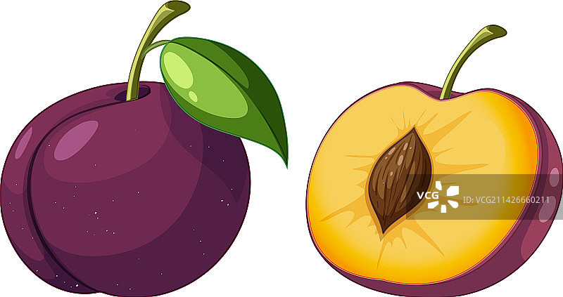 完整的和切开一半的李子图片素材