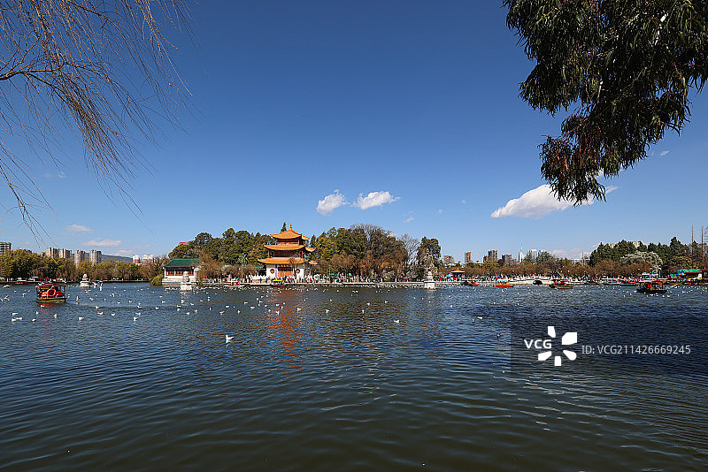 大观公园图片素材