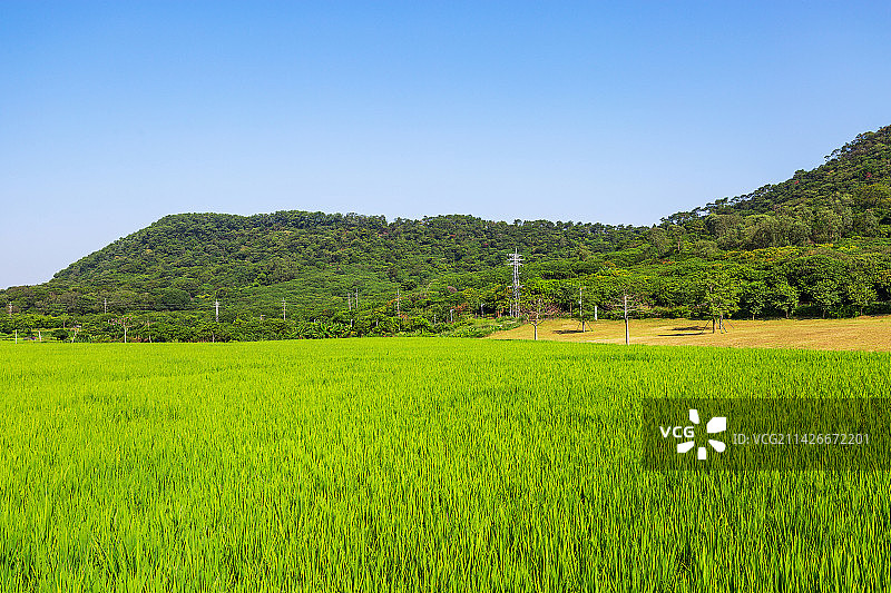 广州从化艾米稻香小镇图片素材