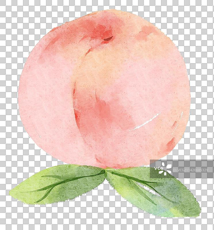 水彩桃子白桃水果原创元素插画图片素材