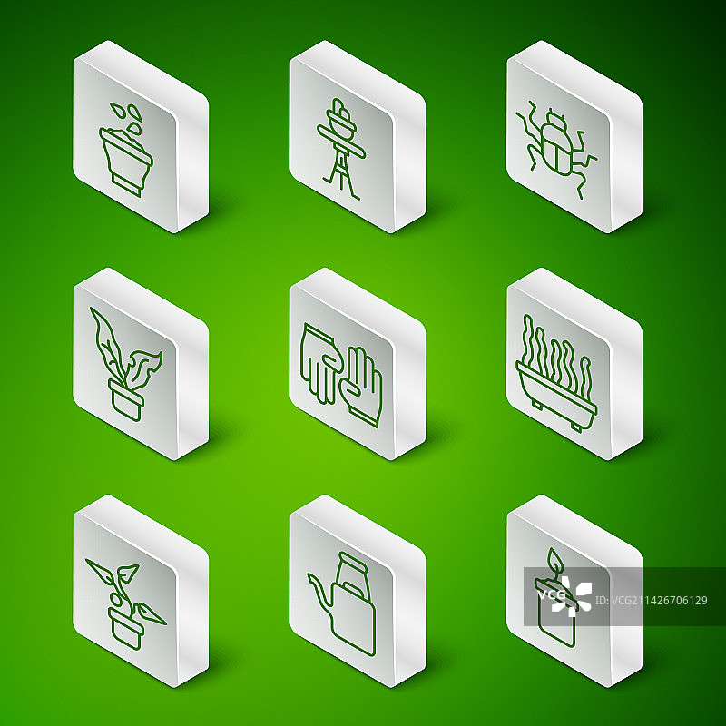 瓶中嫩芽浇水壶种子合集图片素材