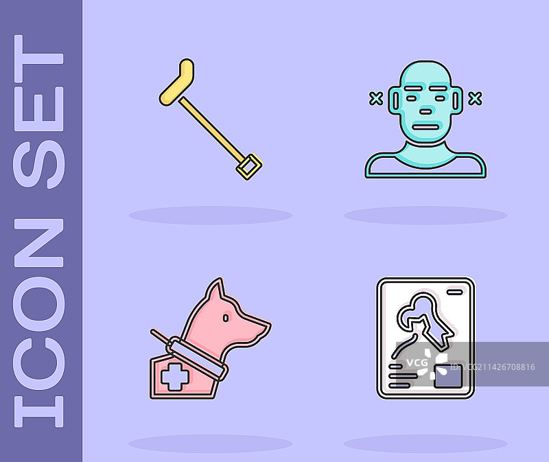 X光片、手杖、导盲犬图片素材