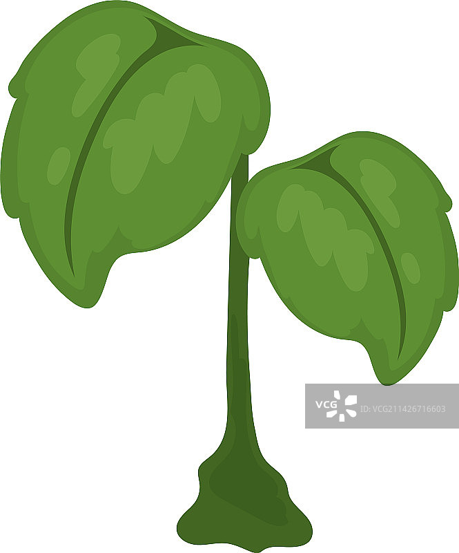 植物生态可持续性图片素材