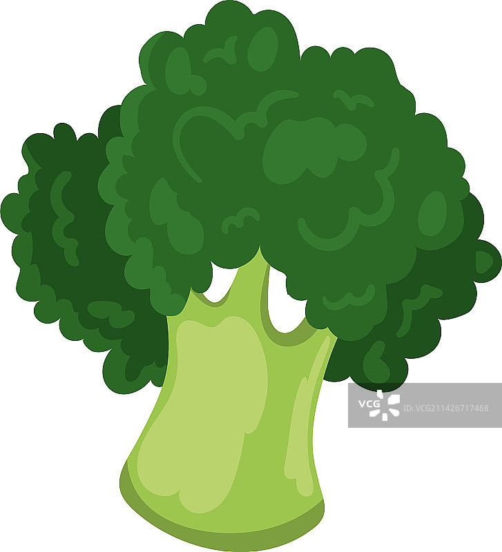 西兰花健康食品图片素材