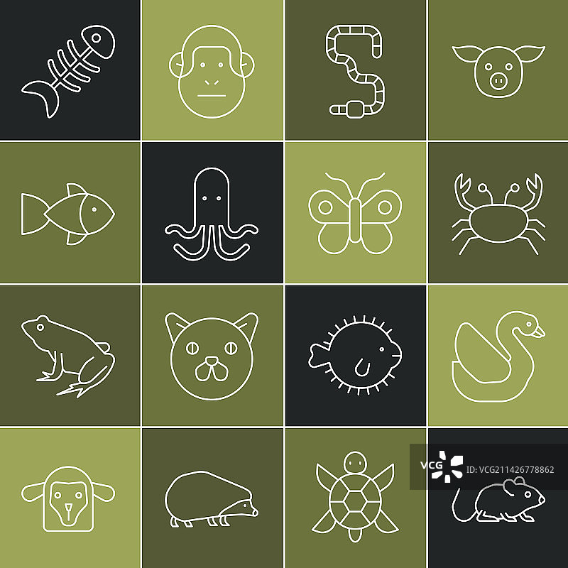 老鼠天鹅鸟螃蟹蠕虫章鱼鱼线条合集图片素材