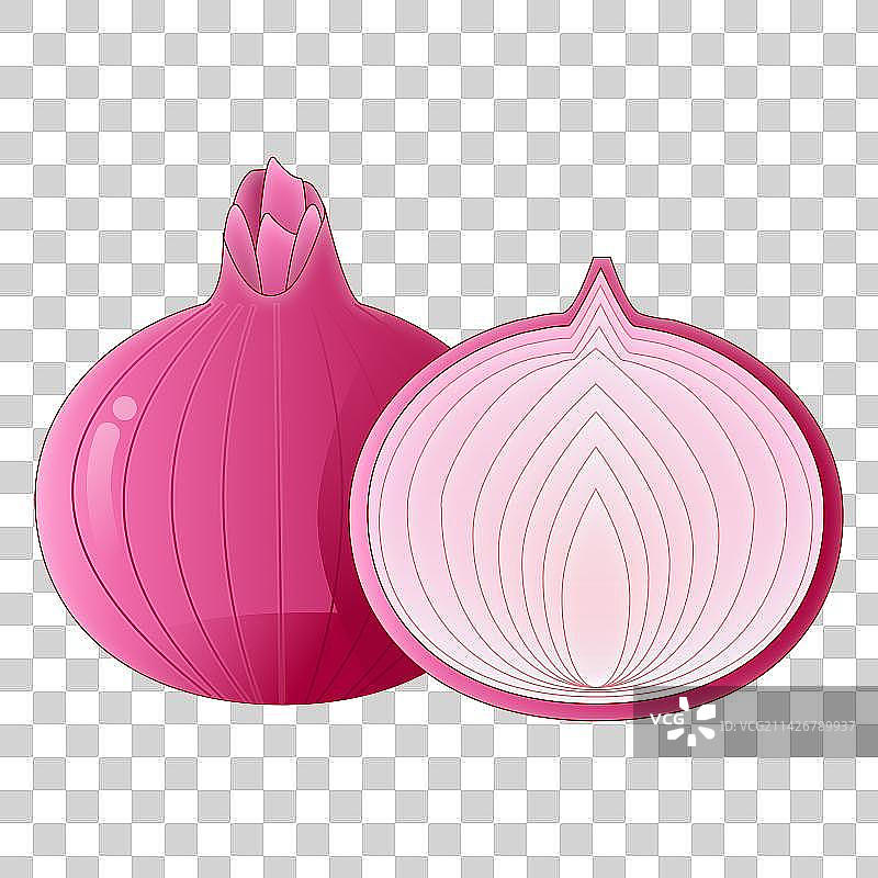 农业乡村振兴两颗洋葱图片素材