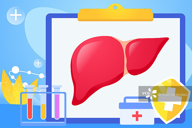 卡通节日全国爱肝日世界肝炎日线上看诊肝炎器官内脏医疗医院医生器官保险保障民生检查扁平矢量图片素材