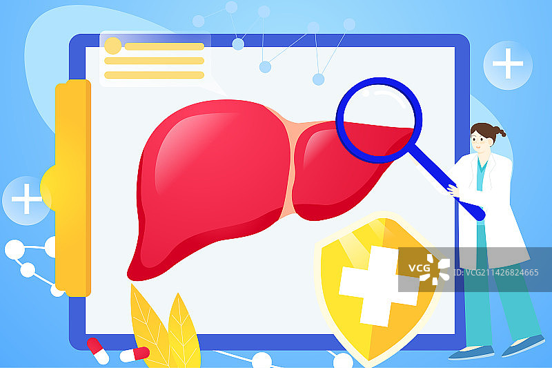 卡通节日全国爱肝日世界肝炎日线上看诊肝炎器官内脏医疗医院医生器官保险保障民生检查扁平矢量图片素材