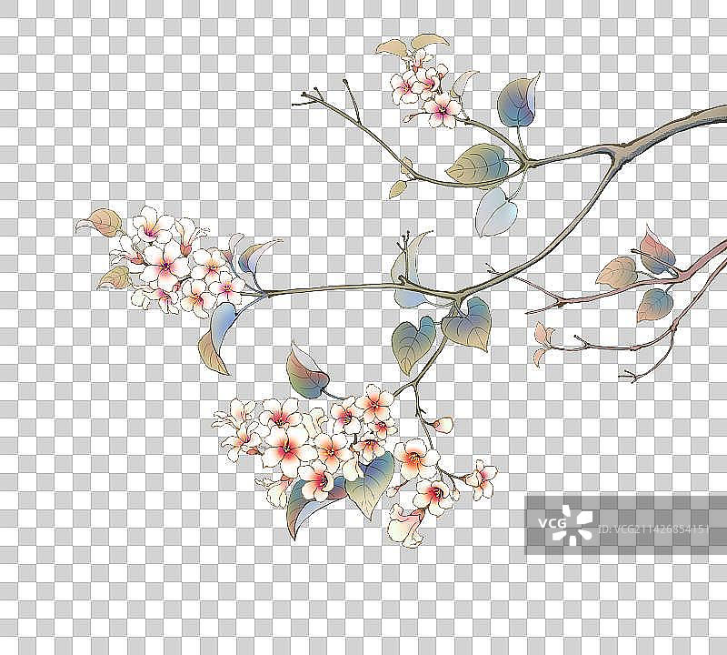 国风水彩手绘油桐花梧桐花插画图片素材