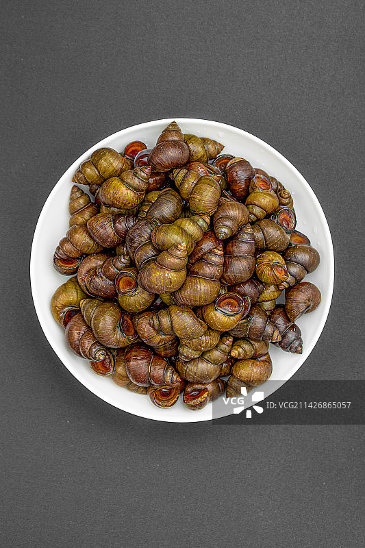 新鲜的特色田螺食材图片素材