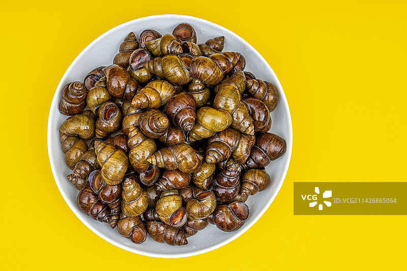 新鲜的特色田螺食材图片素材