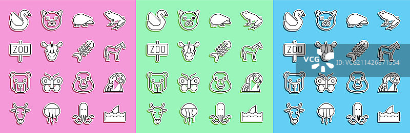 鲨鱼鳍、海浪、金刚鹦鹉图片素材