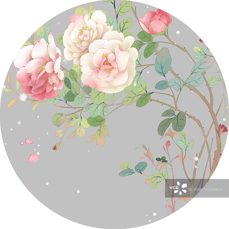 唯美中国风工笔没骨月季玫瑰花图片素材