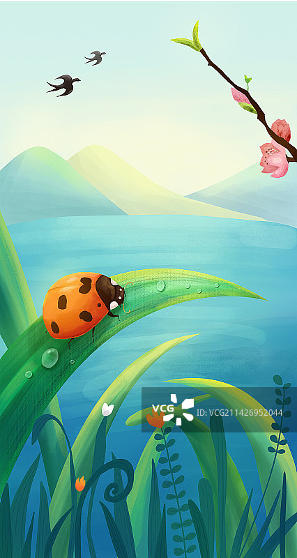 春天节气-惊蛰图片素材