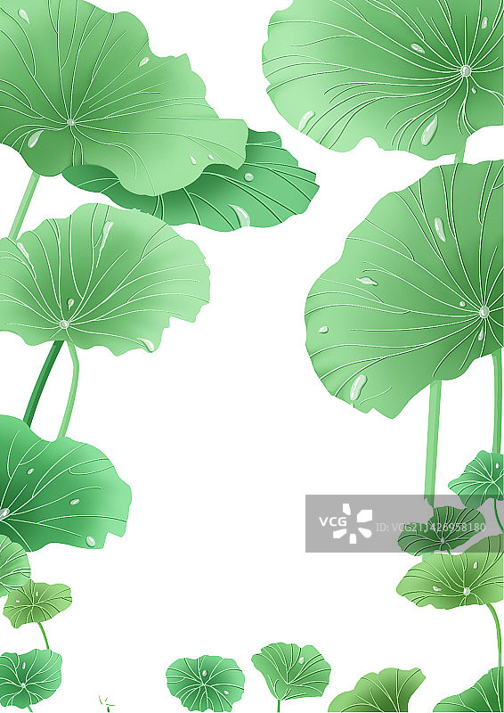 夏天荷叶素材图片素材