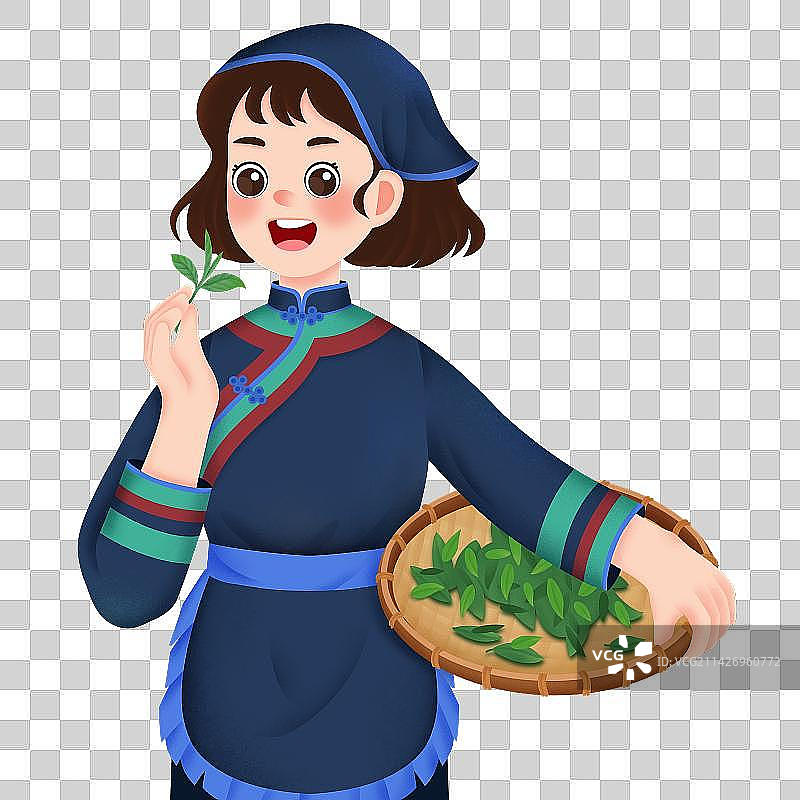 采茶女，采茶，客家人，茶叶，茶农图片素材