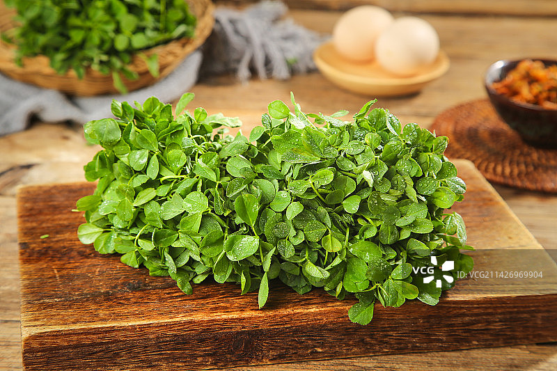 深底上的苜蓿菜图片素材