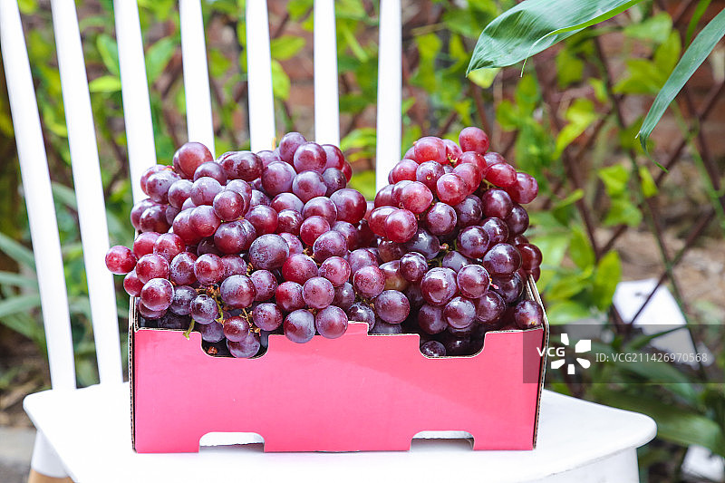 手里拿着新鲜葡萄图片素材