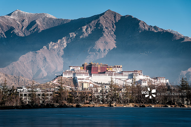 西藏拉萨南山公园拍摄的布达拉宫和飞鸟图片素材