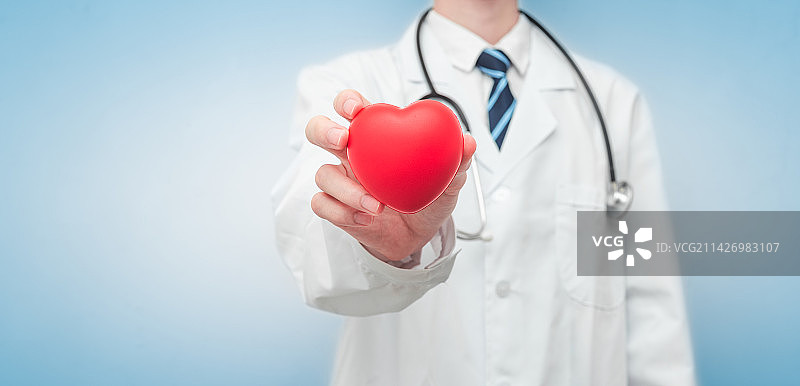 心脏病专家双手捧着心脏模型图片素材