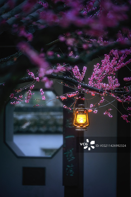 南京雨花台梅岗图片素材