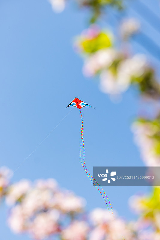 春天底视角看花丛中在蓝天上飞翔的风筝图片素材