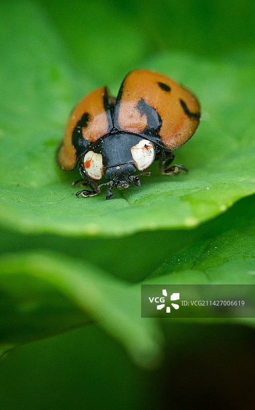 准备起飞。图片素材