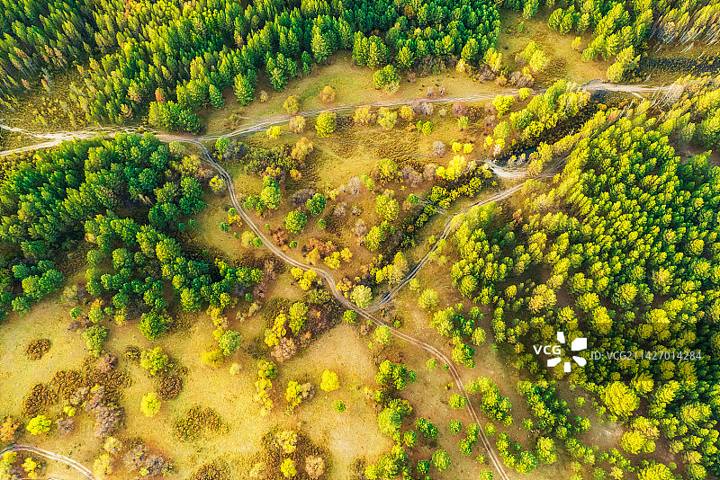 内蒙古自治区呼伦贝尔市鄂温克族自治旗辉河湿地（辉河林场）秋季户外风光航拍正上方视角图片素材