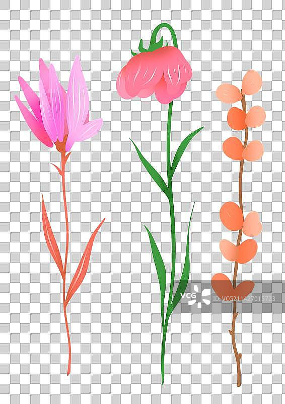 春天花草叶子设计元素图片素材