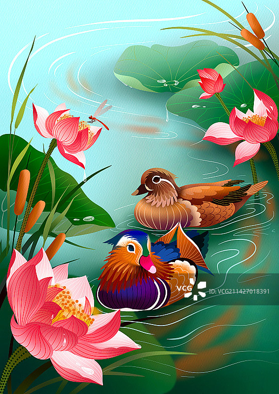 鸳鸯戏水图片素材