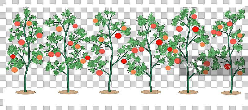 温室水果蔬菜图片素材