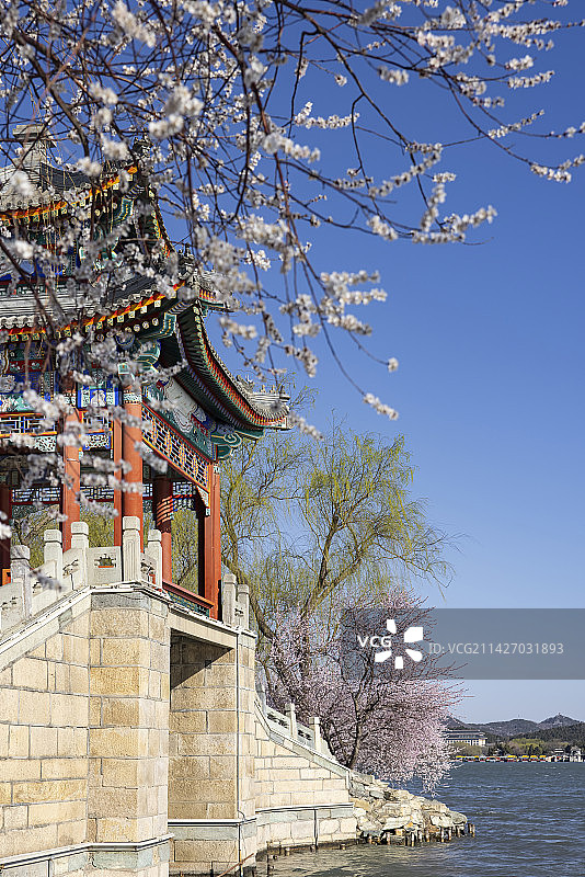春天北京颐和园西堤练桥山桃花开图片素材