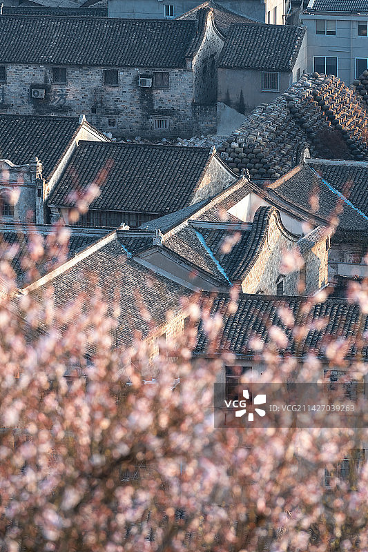 台州市临海市梅园风光图片素材