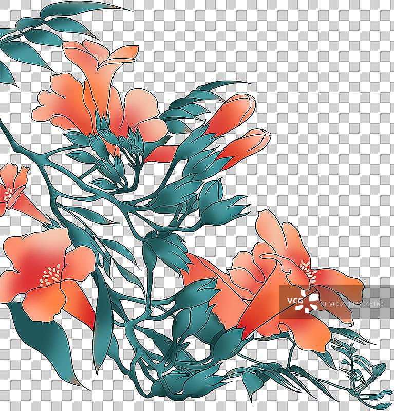 凌霄花图片素材
