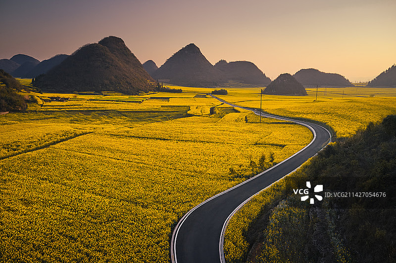 云南罗平油菜花花海图片素材