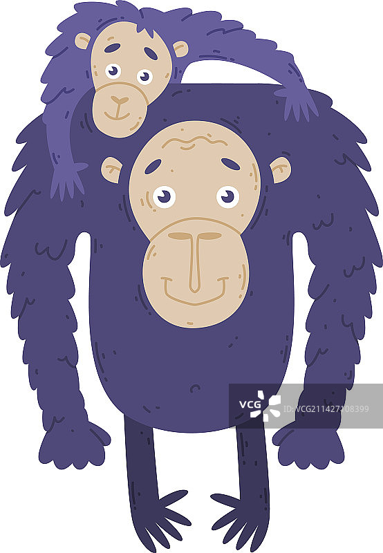 猴子家庭：猿猴父母和快乐的宝宝图片素材