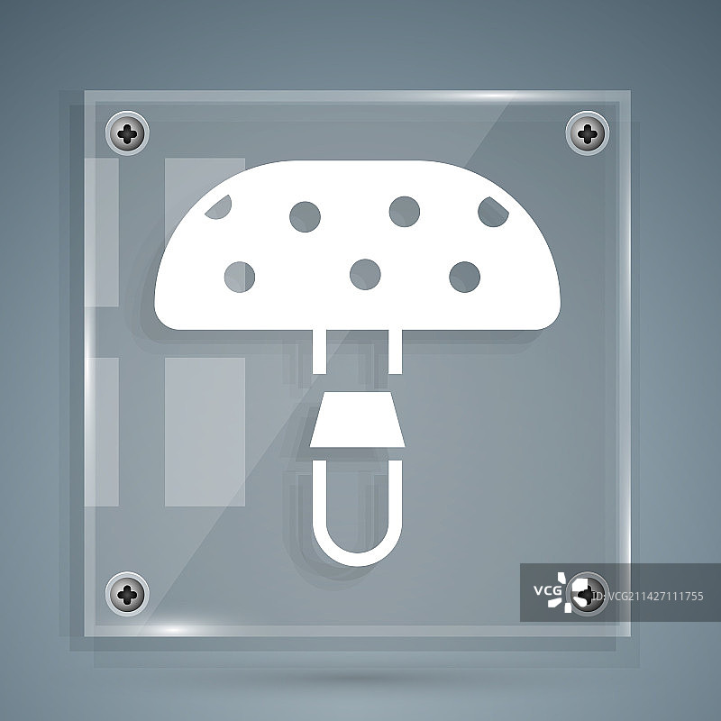 白色毒蝇伞图片素材